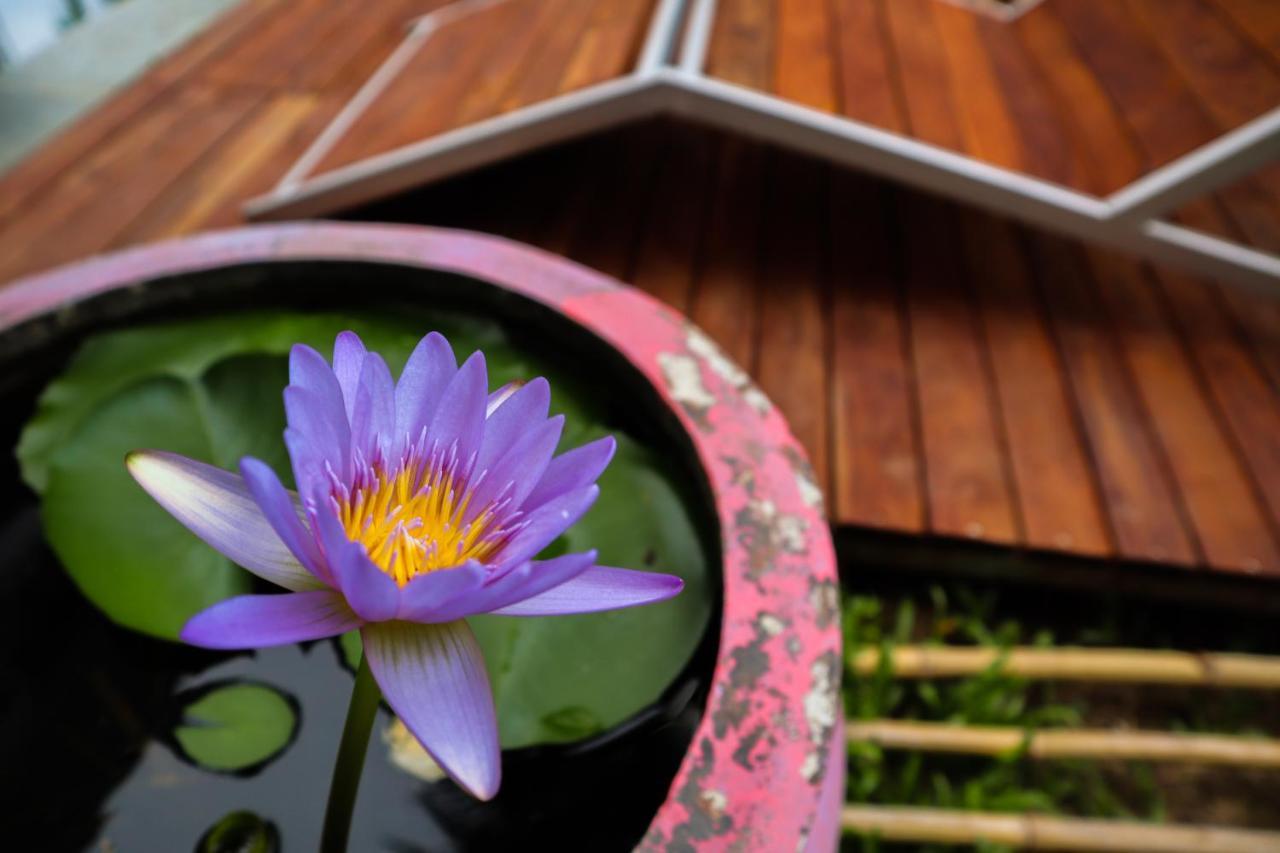 Hoi An Fairy Garden Villa Exterior photo