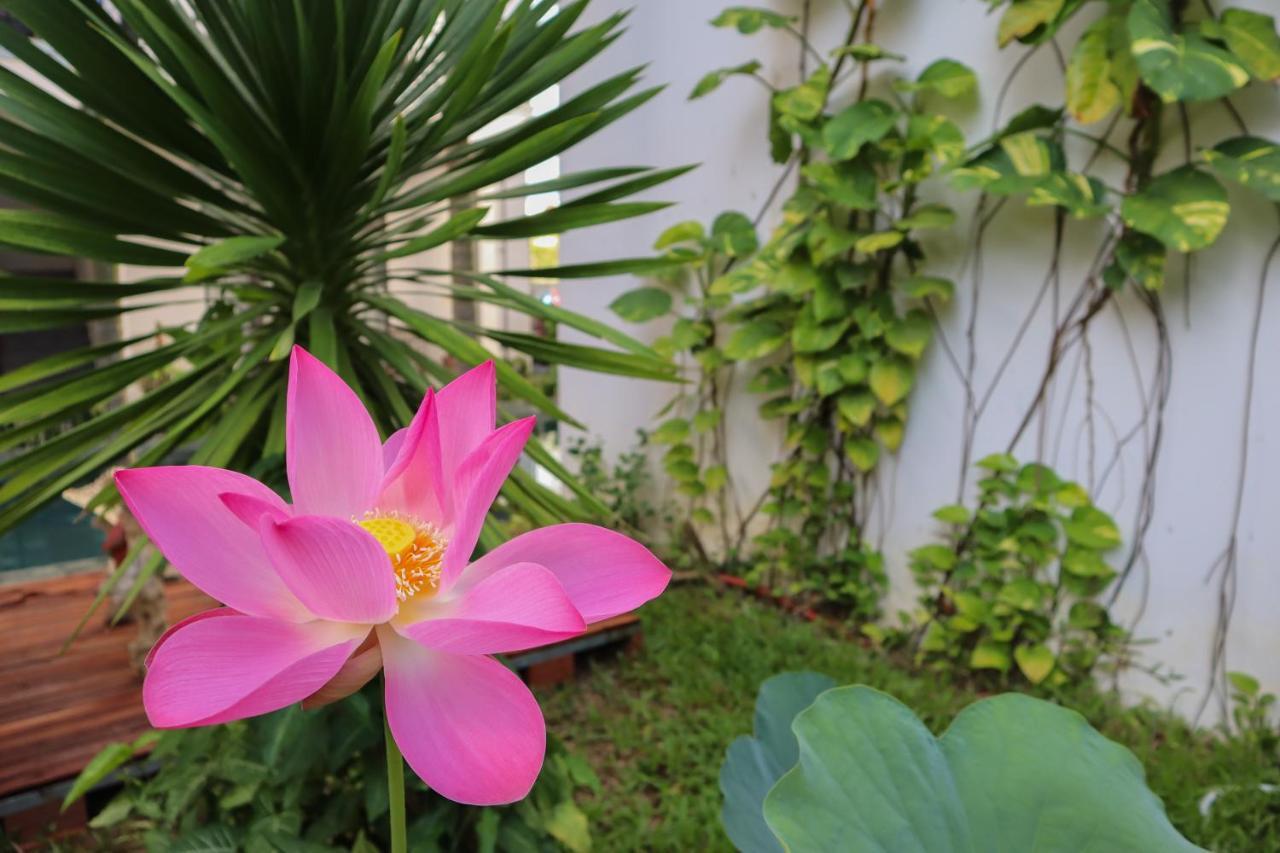 Hoi An Fairy Garden Villa Exterior photo